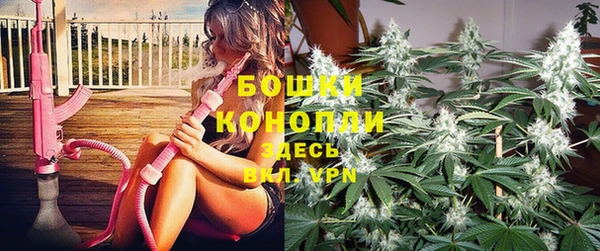 2c-b Белокуриха