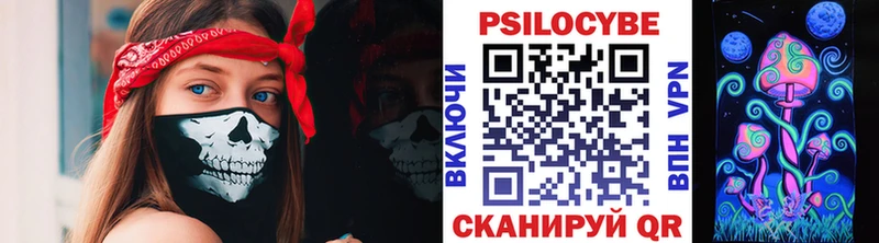 Псилоцибиновые грибы Psilocybine cubensis  Бокситогорск 