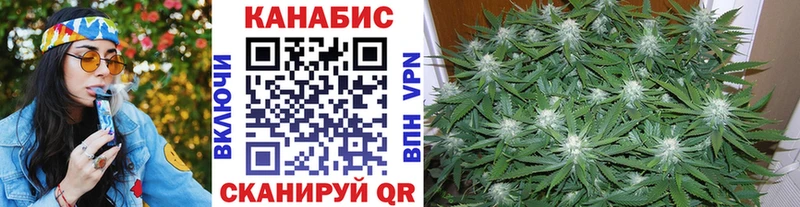 где купить наркоту  mega вход  Шишки марихуана конопля  Бокситогорск 